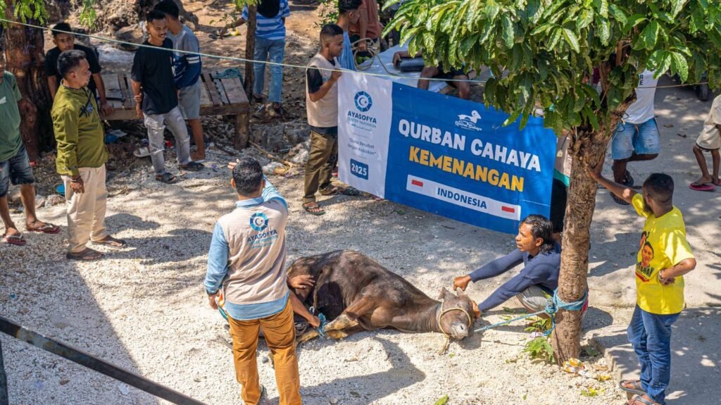 Galeri Ayasofya Qurban Project (AQP) 1