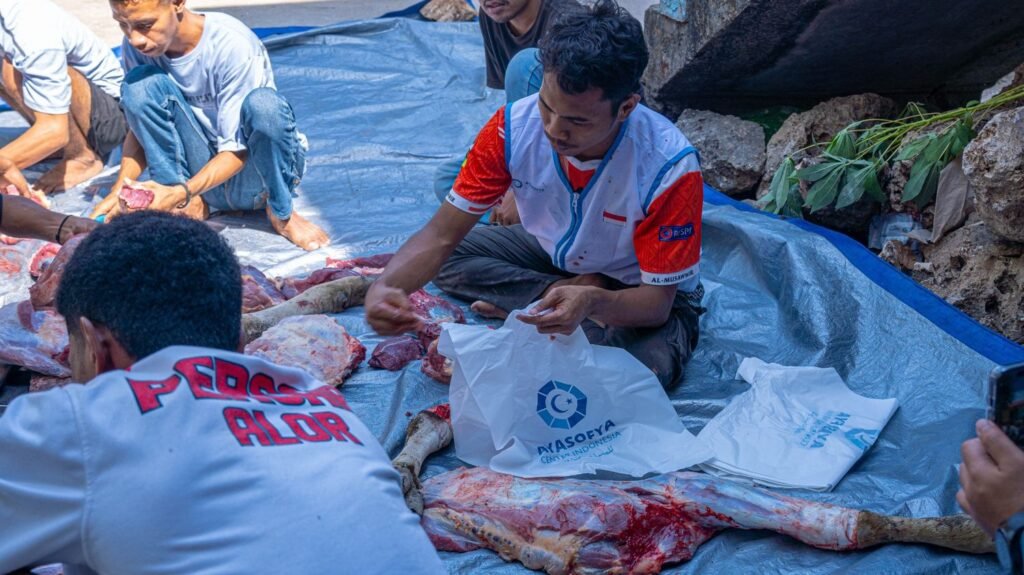 Galeri Ayasofya Qurban Project (AQP) 4