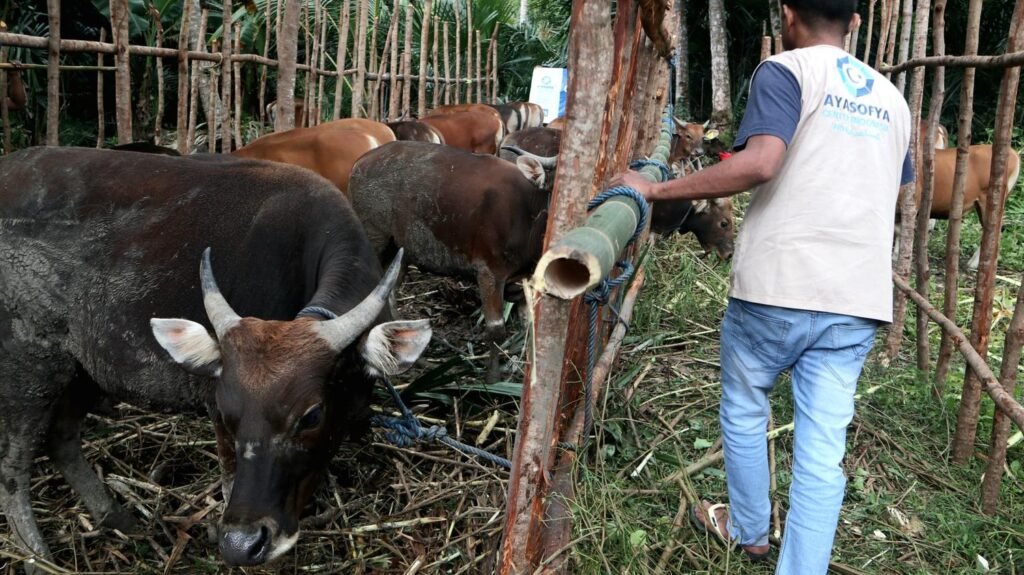 Galeri Ayasofya Qurban Project (AQP) 7
